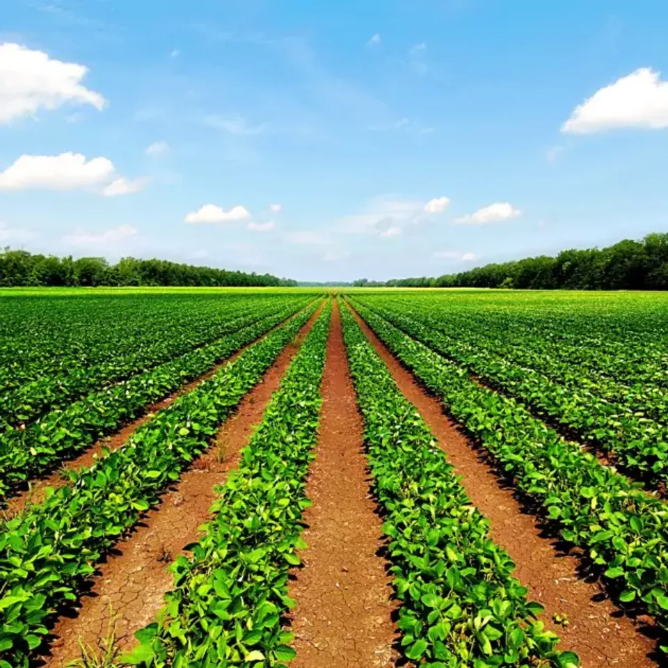 Aromadive - Aromadive vous plonge au cœur des sensations agricoles